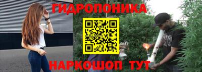 сатива Краснодар