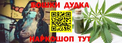 сатива Краснодар