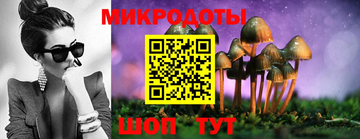 Псилоцибиновые грибы прущие грибы  магазин    Гусь-Хрустальный  Вход с VPN 