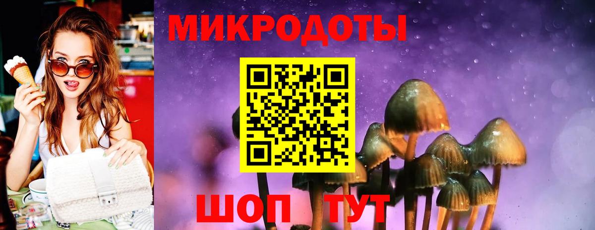 Галлюциногенные грибы Cubensis Гусь-Хрустальный